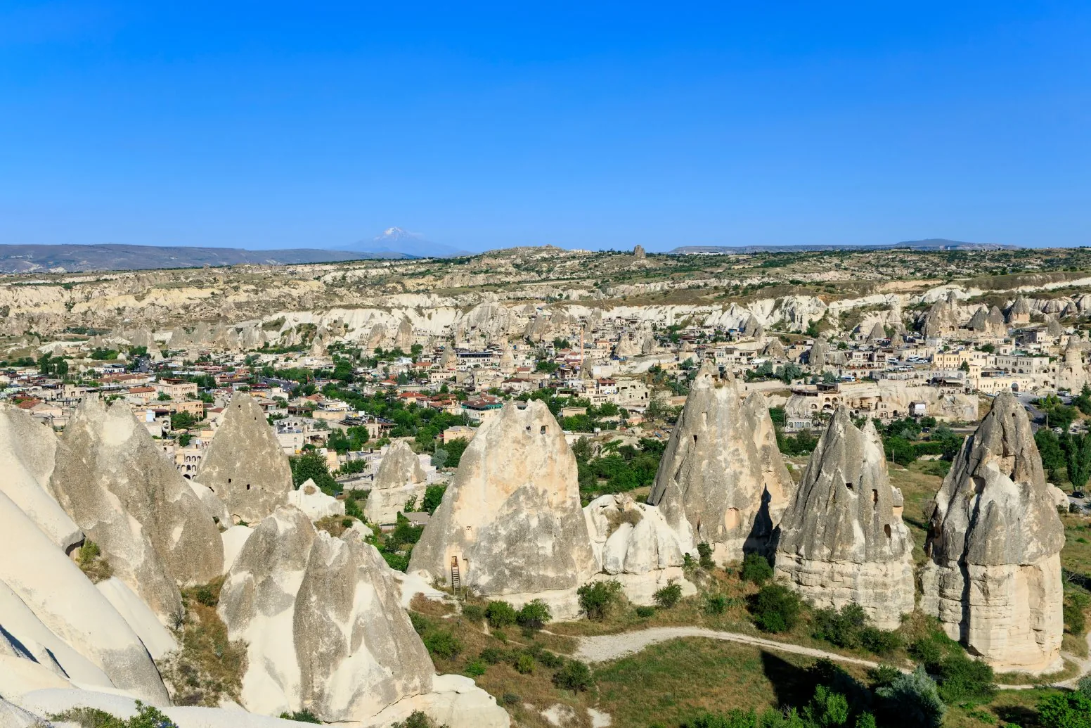 YEŞİL TUR